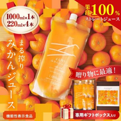 ふるさと納税 日南市 果汁 100% まる搾り みかん ジュース 1000ml×1本 220ml×4本 専用ギフトボックス