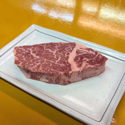ふるさと納税 諫早市 [希少部位]長崎和牛ヒレ肉 120g