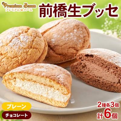 ふるさと納税 前橋市 前橋生ブッセ プレーン・チョコ 2種×各3個(計6個) 群馬県前橋市