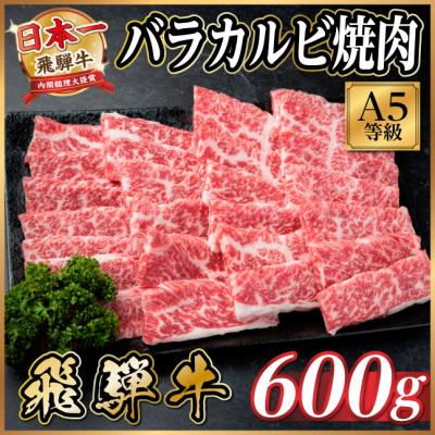 ふるさと納税 羽島市 飛騨牛A5等級 バラカルビ焼肉 600g(焼肉・BBQ用)