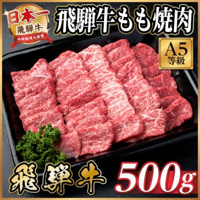 ふるさと納税 羽島市 飛騨牛A5等級 もも焼肉 500g(焼肉・BBQ用)