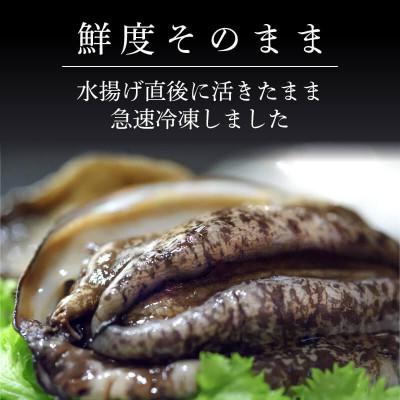 ふるさと納税 大船渡市 蝦夷あわび 600g [56500426_1] |  | 01
