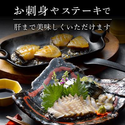 ふるさと納税 大船渡市 蝦夷あわび 600g [56500426_1] |  | 02