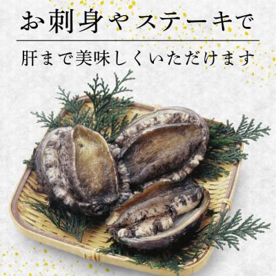 ふるさと納税 大船渡市 蝦夷あわび 1kg 冷凍 [56500427_1] |  | 02