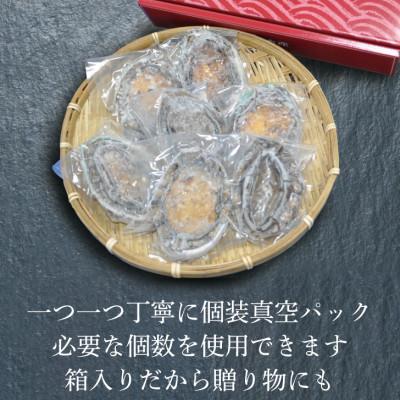 ふるさと納税 大船渡市 蝦夷あわび 1kg 冷凍 [56500427_1] |  | 03