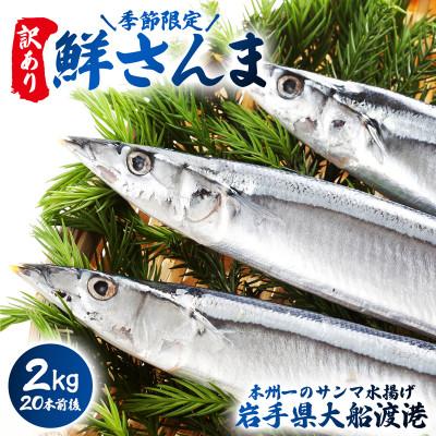ふるさと納税 大船渡市 訳あり 鮮さんま 2kg [oikawa015_y]