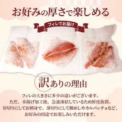 ふるさと納税 大船渡市 訳あり 真鯛 刺身 600g [kouyou009] |  | 02
