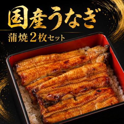 ふるさと納税 大網白里市 [国産うなぎ]2枚セット(蒲焼) 簡単調理!温めるだけでふっくら
