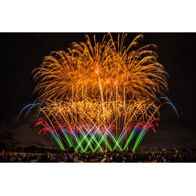 ふるさと納税 城陽市 [2026年10月4日開催]秋花火in京都府城陽市 夏の夜空を彩るイベントで最高の思い出を(優待)