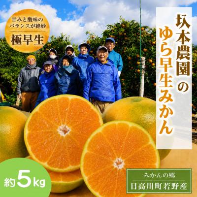 ふるさと納税 日高川町 [10月上旬から発送]圦本農園の「ゆら早生みかん」 約5kg