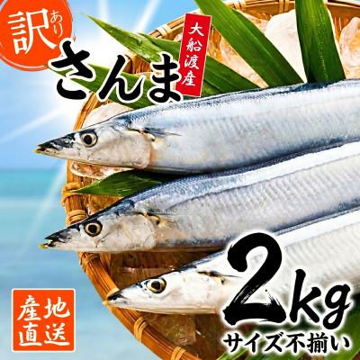 ふるさと納税 大船渡市 [9〜11月発送]訳あり 鮮さんま 2kg [maruwa19_3]