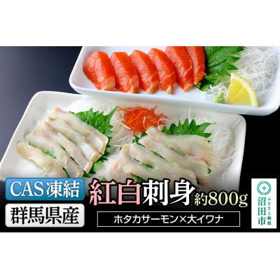 ふるさと納税 沼田市 CAS印 群馬県産ホタカサーモン×大イワナの紅白刺身 計約800g 株式会社沼田魚菜市場仲卸