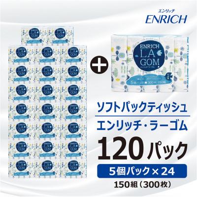 ふるさと納税 高岡市 ソフトパックティッシュ[150Wエンリッチラーゴム5P×24]