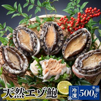 ふるさと納税 大船渡市 国産 天然 エゾアワビ 500g [nomura003]