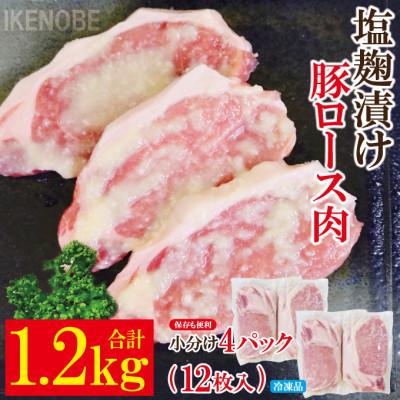 ふるさと納税 常陸大宮市 [ふるさと納税]塩麹漬け豚ロース肉約1.2kg(12枚入)冷凍