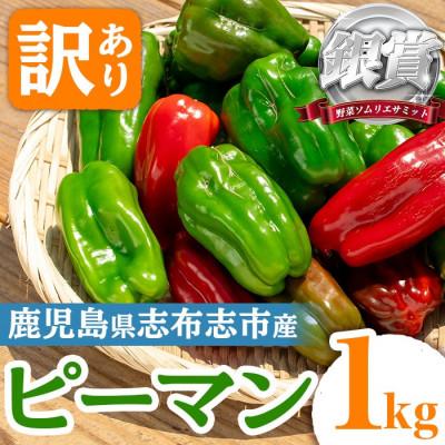 ふるさと納税 志布志市 志布志産訳ありピーマン(1kg)[野菜ソムリエサミット銀賞受賞!]
