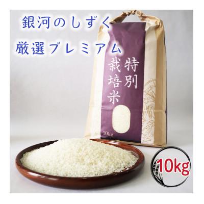 ふるさと納税 花巻市 [令和8年産米先行予約]銀河のしずく 厳選プレミアム (白米)10キロ 特別栽培米