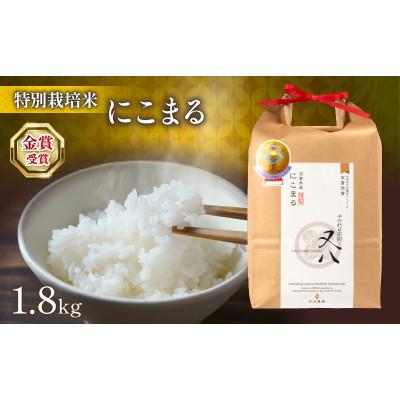 ふるさと納税 竜王町 令和7年産 にこまる 1.8kg 化粧箱入