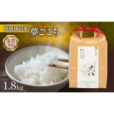 ふるさと納税 竜王町 令和7年産 夢ごこち 1.8kg 化粧箱入