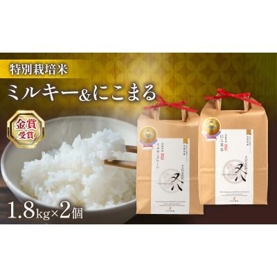 ふるさと納税 竜王町 令和7年産 ミルキークイーン にこまる 各1.8kg 計3.6kg 化粧箱入
