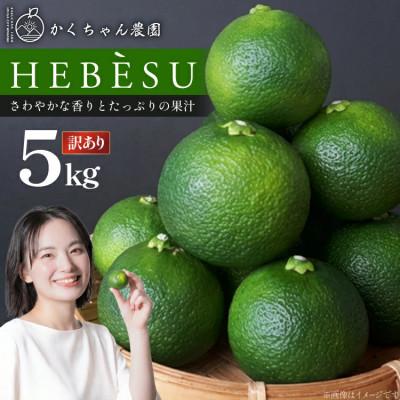 ふるさと納税 日向市 [期間限定発送]かくちゃん農園の産地直送 日向市発祥 採れたて訳ありへべす(平兵衛酢) 約5kg