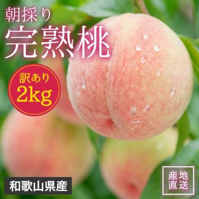 ふるさと納税 高野町 [2026年7月より順次発送]森本農園の桃 訳あり 2kg