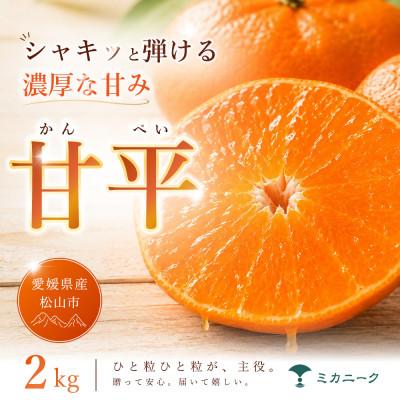 ふるさと納税 松山市 [急いで確保]シャキッと果肉[甘平]2kg 愛媛県産