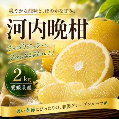ふるさと納税 松山市 [選ぶならこれ]和製グレープフルーツ[河内晩柑]2kg 愛媛県産