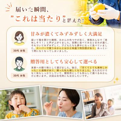 ふるさと納税 松山市 【選び抜いた一箱】香り際立つ【レモン】2kg　愛媛県産 |  | 02