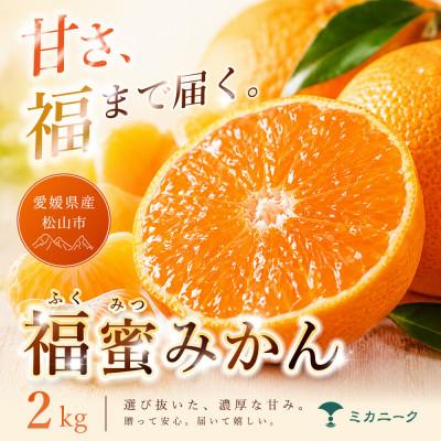 ふるさと納税 松山市 【いま注目されています】濃密な甘さ【福蜜みかん】2kg　愛媛県産