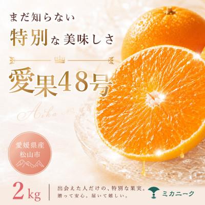 ふるさと納税 松山市 [知る人ぞ知る]幻の新品種[愛果48号(紅プリンセスと同品種)]2kg 愛媛県産
