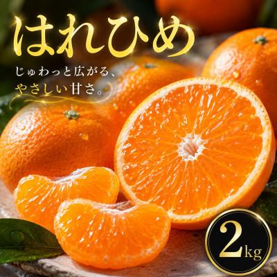 ふるさと納税 松山市 【選ぶならこれ】とろける甘み【はれひめ】2kg　愛媛県産 | 