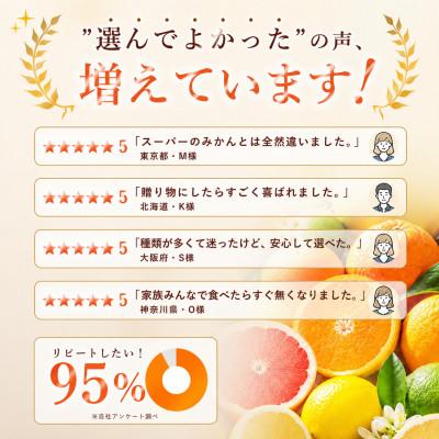 ふるさと納税 松山市 【選ぶならこれ】とろける甘み【はれひめ】2kg　愛媛県産 |  | 01