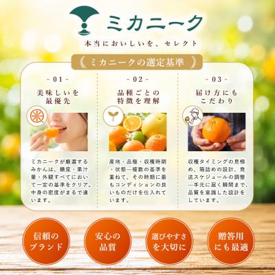 ふるさと納税 松山市 【選ぶならこれ】とろける甘み【はれひめ】2kg　愛媛県産 |  | 03