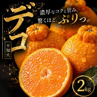 ふるさと納税 松山市 【早い者勝ち】深い甘み【デコ(不知火)(デコポンと同品種)】2kg　愛媛県産 | 