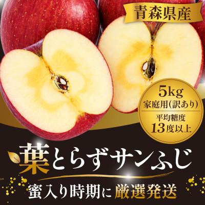 ふるさと納税 青森県 11-12月 蜜入り時期に厳選発送! 青森県産 りんご 訳あり 葉とらずサンふじ 家庭用 約5kg | 