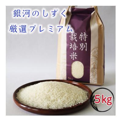 ふるさと納税 花巻市 [令和8年産産米先行予約]銀河のしずく 厳選プレミアム(無洗米)5キロ
