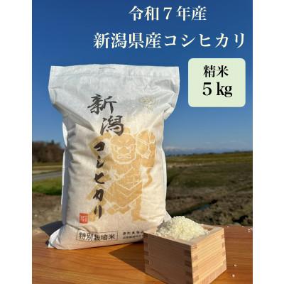 ふるさと納税 聖籠町 金助農業のコシヒカリ精米5kg
