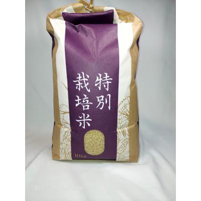 ふるさと納税 花巻市 [予約受付 令和8年産米]銀河のしずく 厳選プレミアム(玄米)10キロ