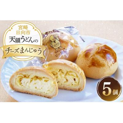 ふるさと納税 日向市 チーズ饅頭 5個 セット