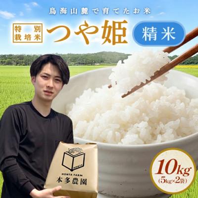 ふるさと納税 酒田市 つや姫 精米 10kg(5kg×2袋) 令和8年産米 山形県