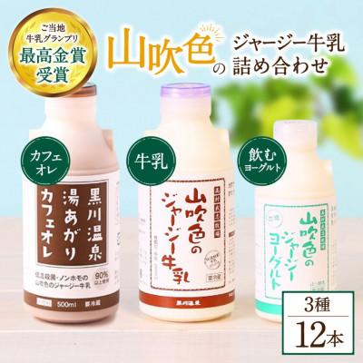 ふるさと納税 南小国町 山吹色のジャージー牛乳 人気3種セット 計12本