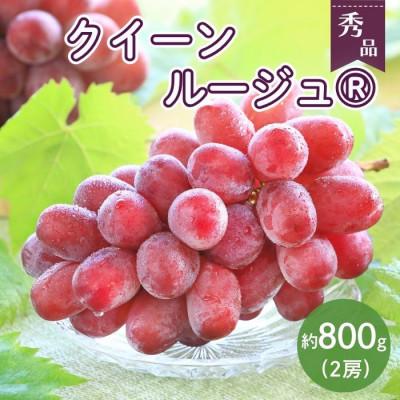 ふるさと納税 豊丘村 [南信州産]クイーンルージュ(R) 2房(計約800g) 2026年9月より順次発送