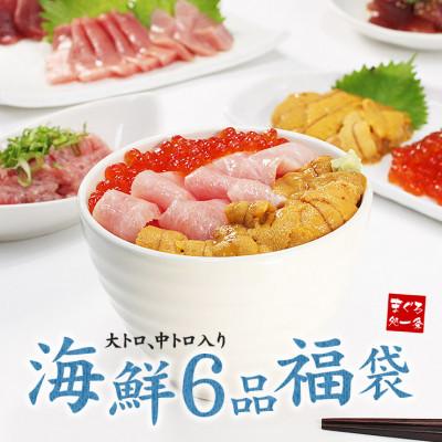ふるさと納税 いわき市 豪華海鮮6品福袋 大トロ 中トロ 生ウニ イクラ ネギトロ 鮪漬け[計730g](イクラアメリカ産)