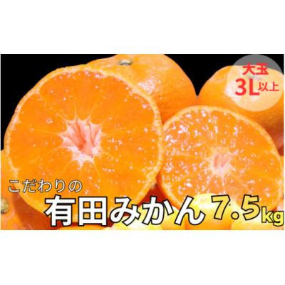 ふるさと納税 九度山町 こだわりの有田みかん 秀品 大玉3L以上 約7.5kg (nuk004-l-7d5)