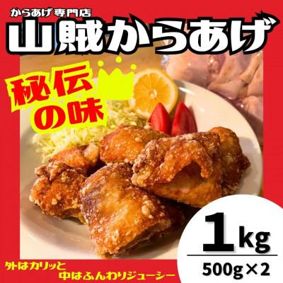 ふるさと納税 桂川町 [からあげ専門店]山賊からあげ(骨なし) 500g×2パック 計1kg (桂川町)