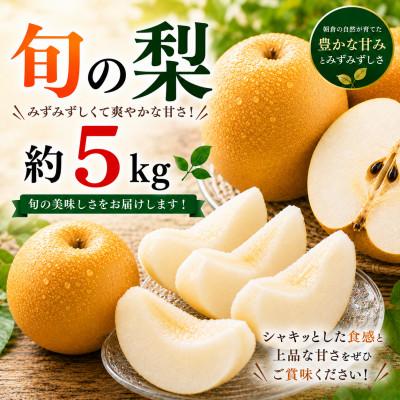 ふるさと納税 山鹿市 旬の梨(豊水梨・あきづき梨・新高梨) 約5kg (山鹿市)