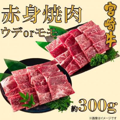 ふるさと納税 三股町 [10月より順次発送]宮崎牛赤身焼肉(ウデorモモ) 約300g(三股町)[MI681-10]
