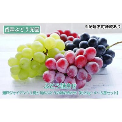 ふるさと納税 竹原市 瀬戸ジャイアンツ1房と旬のぶどうの詰め合わせ 約2kg 4〜5房セット