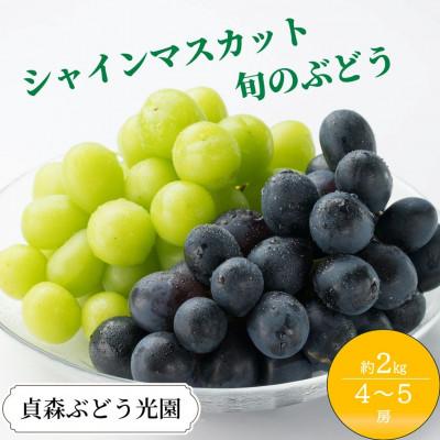 ふるさと納税 竹原市 シャインマスカットと旬のぶどう 詰め合わせ 約2kg 4〜5房 セット